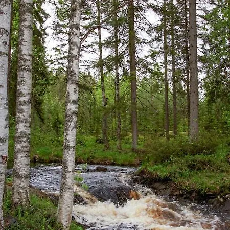 Venejoen Piilo - Kuohu Kontiolahti