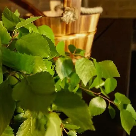 木屋 Venejoen Piilo - Kuohu