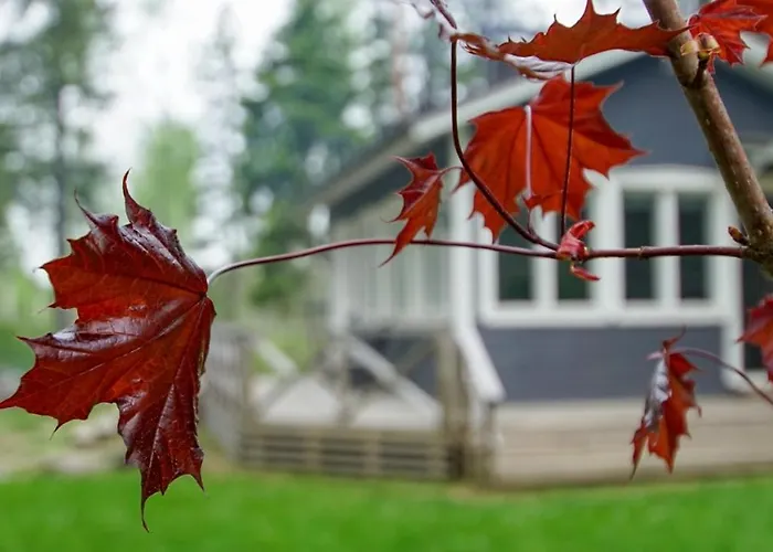 Venejoen Piilo - Kuohu