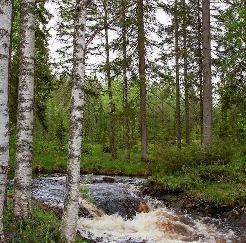Venejoen Piilo - Kuohu Kontiolahti