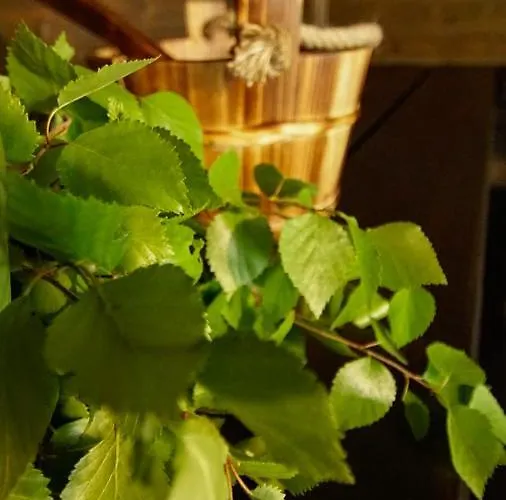 木屋 Venejoen Piilo - Kuohu